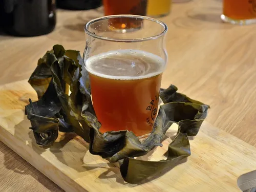 Une bière à l'algue, récoltée dans le Golfe du Morbihan